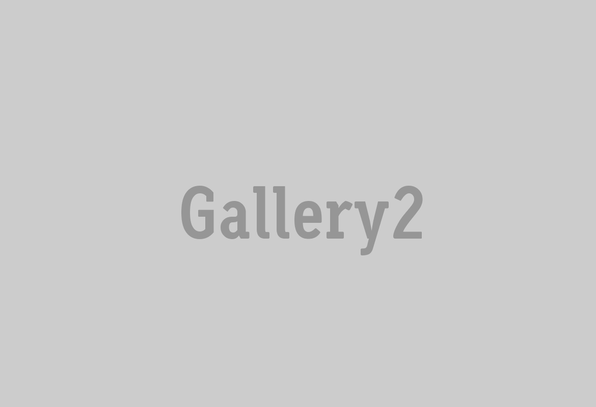 gallery2