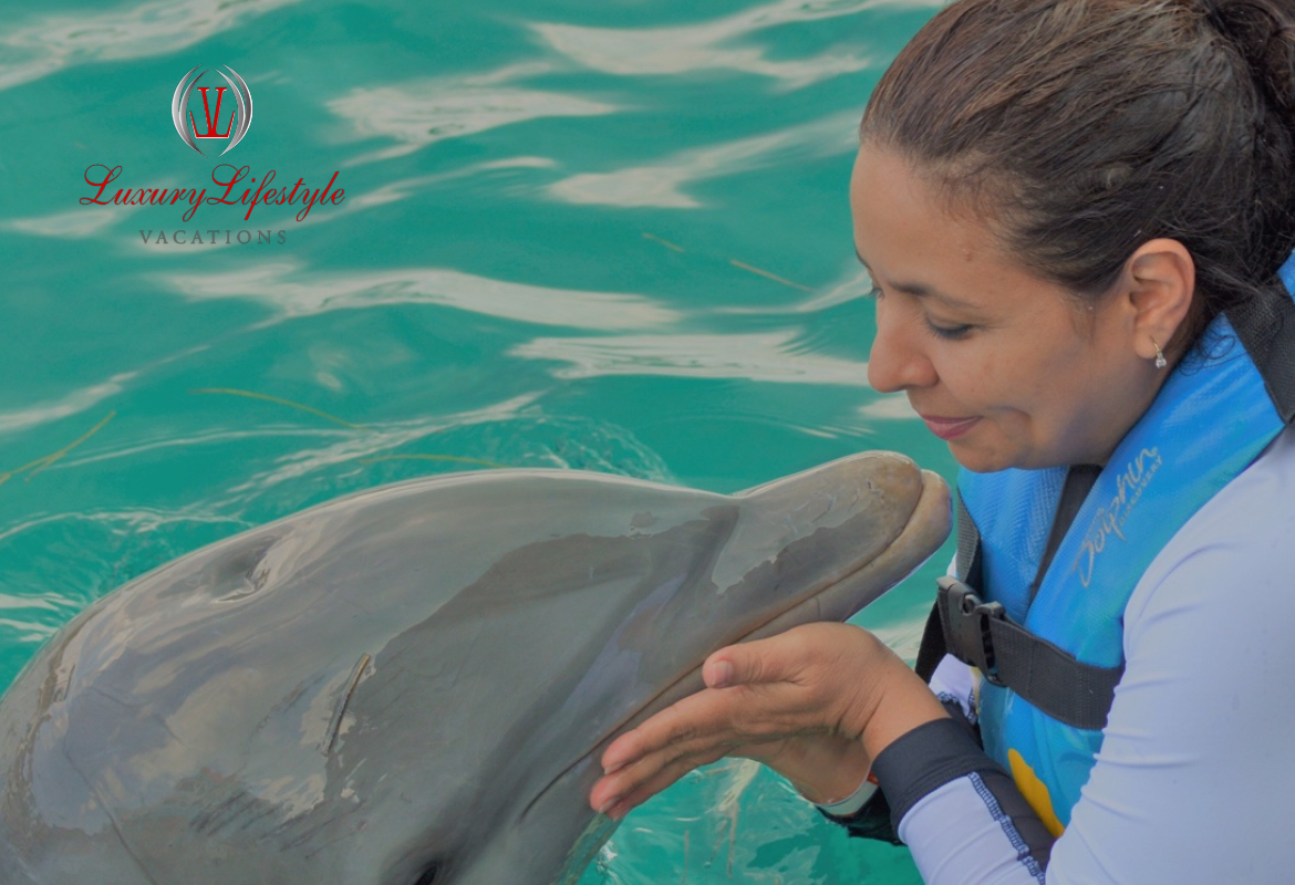 Jamaica – Dolphin Cove Negril Full Day with Dolphin Swim