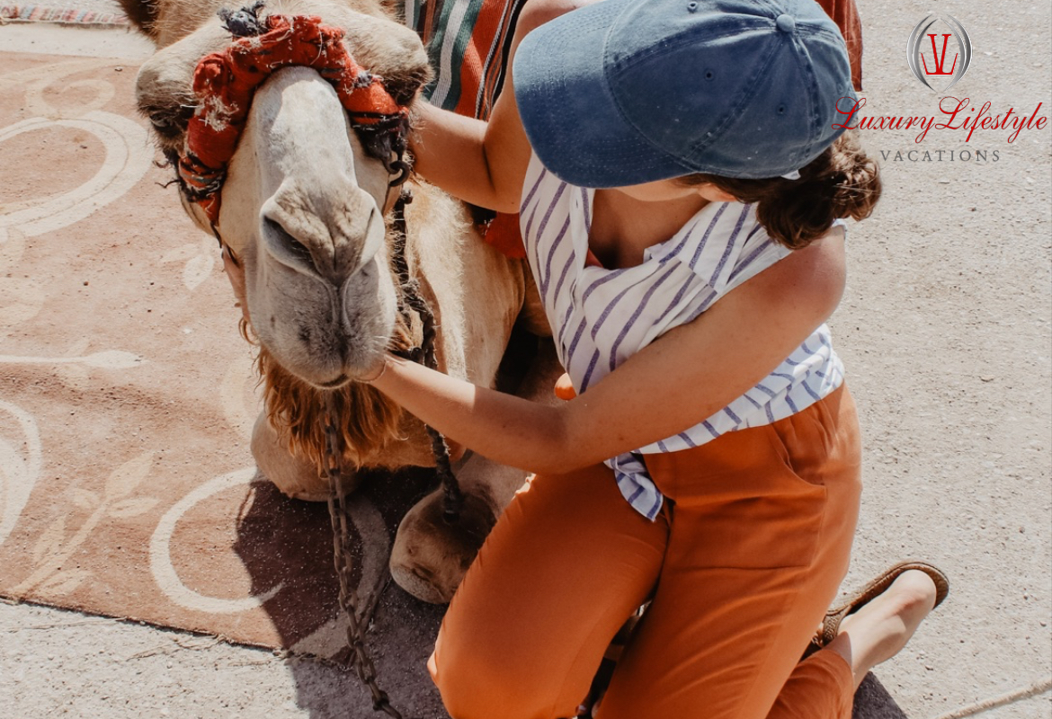 Cabo San Lucas – Camel Safari