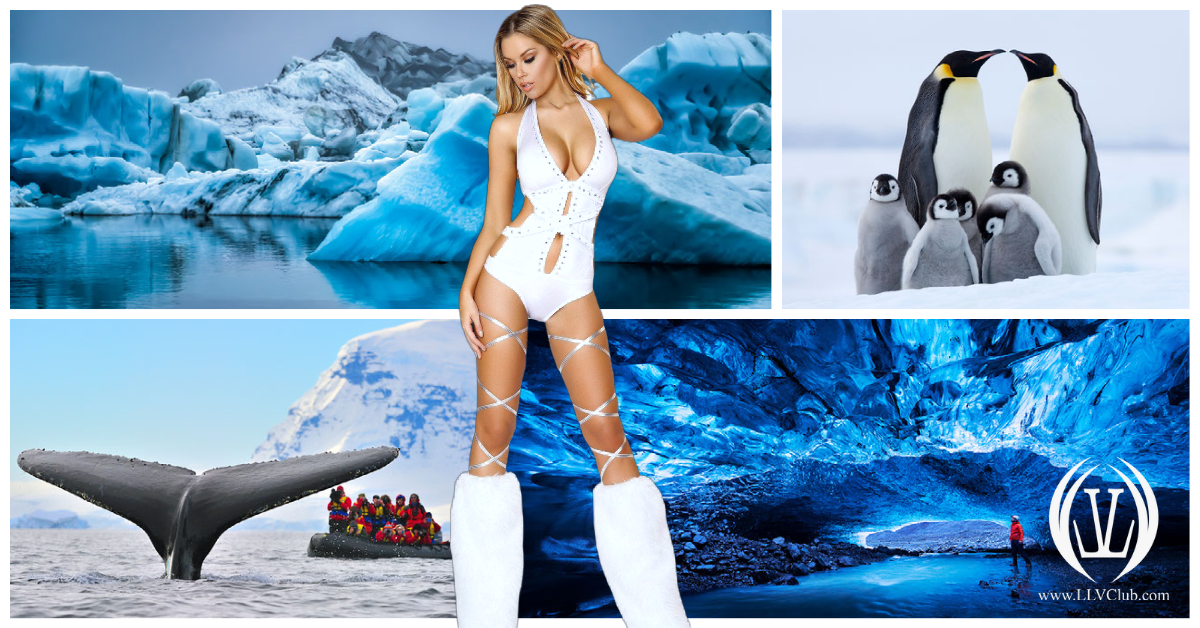 Antartica1-1 (1)