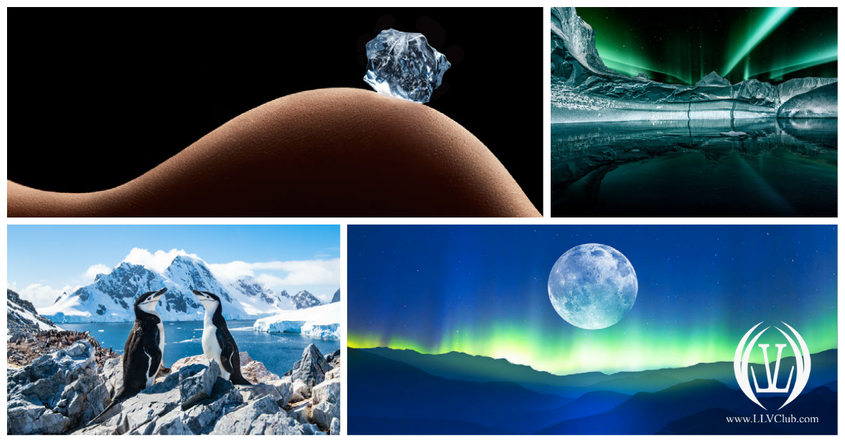 Antartica3-1